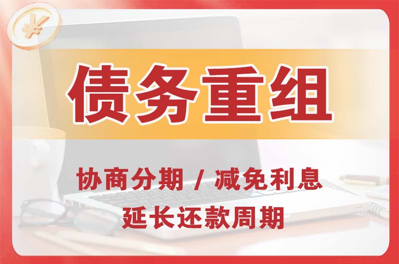 河南蒙古族自治县债务重组